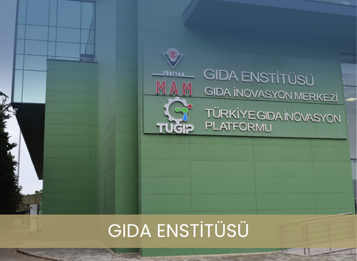 GIDA ENSTİTÜSÜ