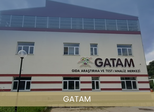 gatam